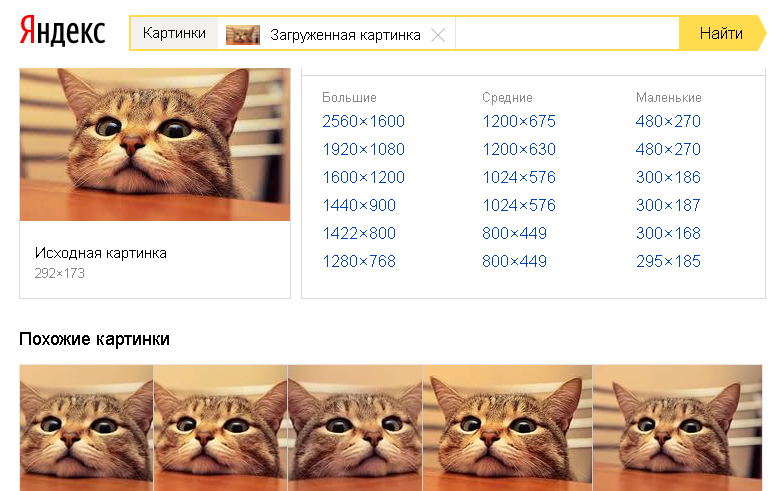 Фотографии, которые нашел Яндекс можно сортировать по формату и размеру